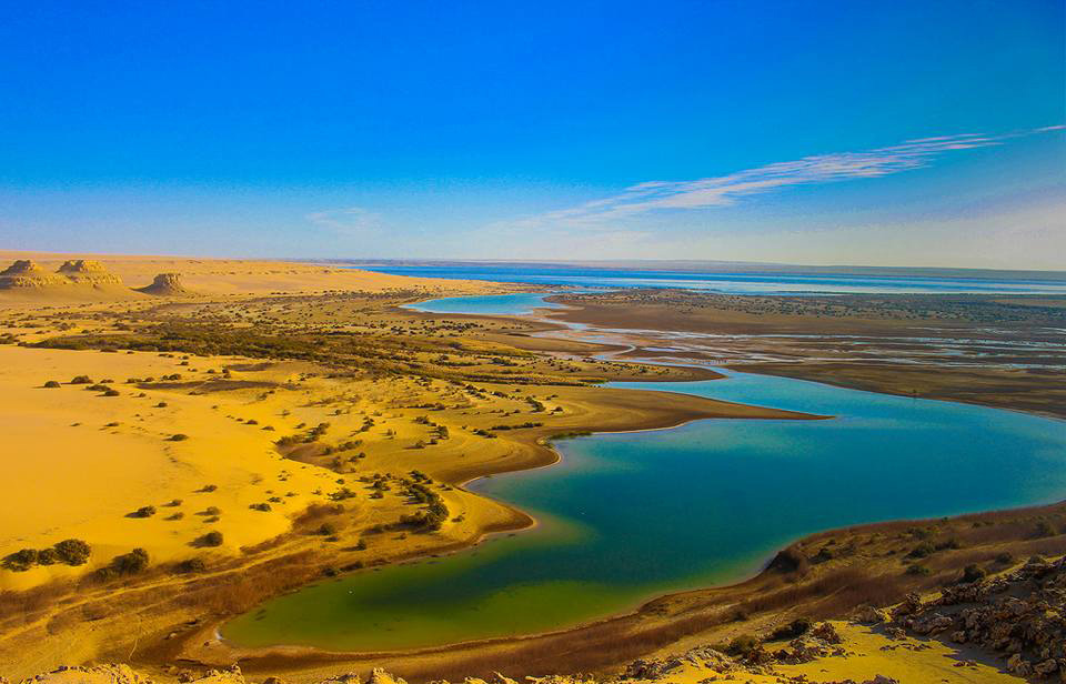 Wadi Al-Hitan is a world natural heritage reserve