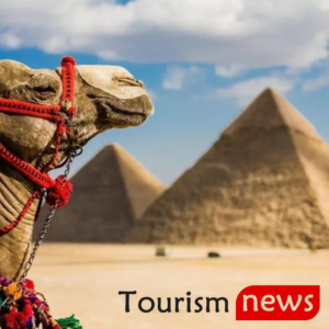 دور خدمات النقل السياحي في تطور صناعة السياحة
